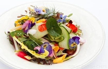Salad Shirazi