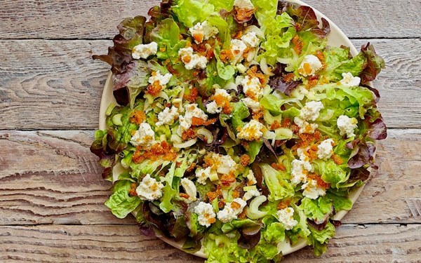 Salad with bottarga & Persian fetta
