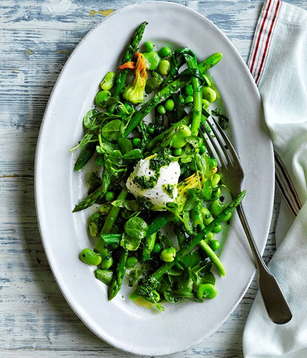 Salade printemps with goat's curd and herb vinaigrette