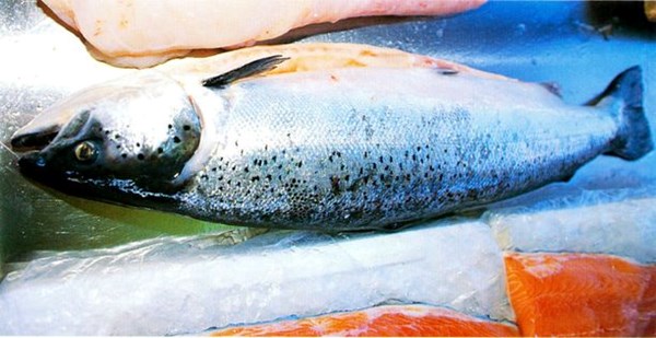 Salmon a la plancha