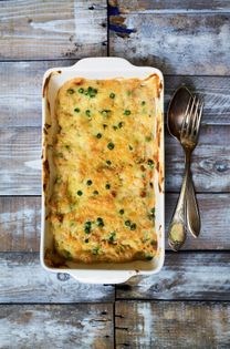 Salmon cannelloni