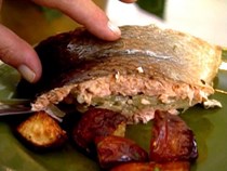 Salmon with fennel