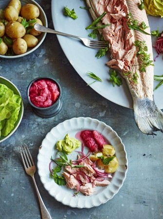 Salmon with rhubarb sauce & tarragon mayo