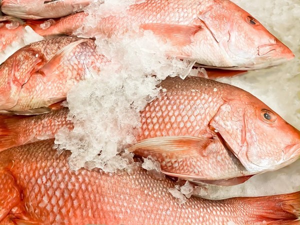Salt-broiled whole fish