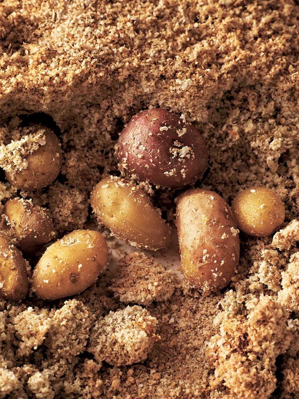 Salt-roasted potatoes
