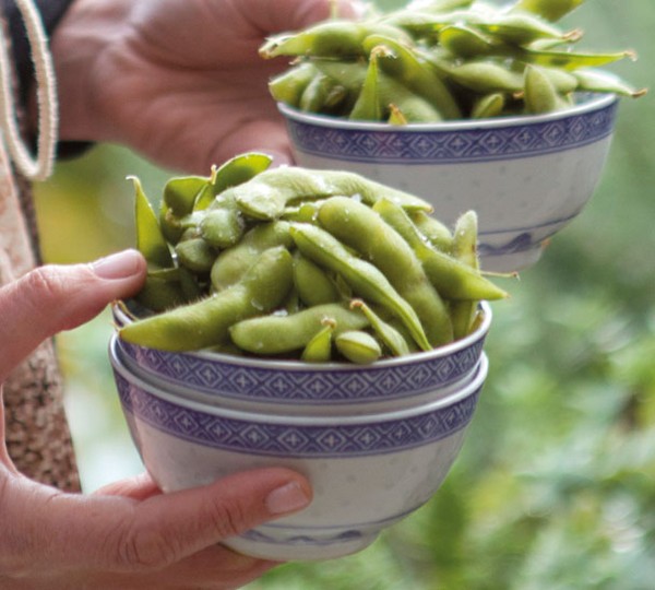 Salted edamame