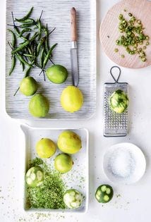 Salted lime and chilli paste (Yuzu kosho)