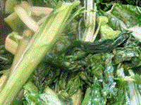 Salted Shanghainese greens (Xuělĭhóng / 雪裏紅 or xuělĭhóng / 雪裏蕻)
