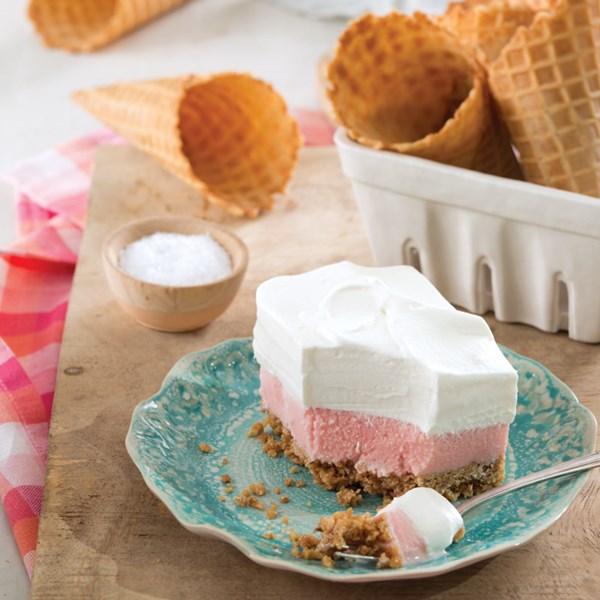 Salted watermelon sherbet bars