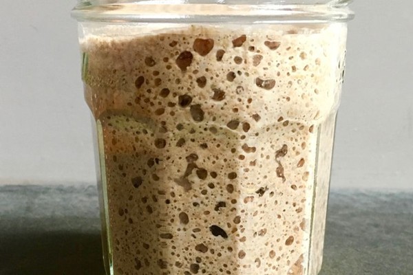 Sam Fromartz' sourdough starter