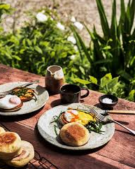 Samphire eggs Hollandaise + English muffins (Hollandaise wyau llyrlys a myffins Seisnig)