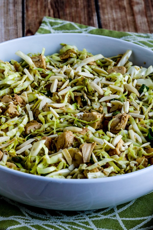 Sandee's Asian chicken cabbage salad