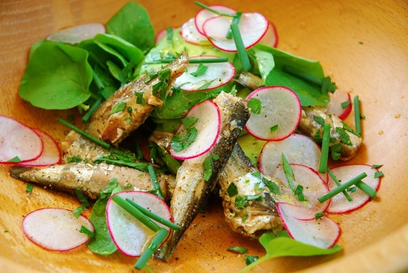 Sardine, avocado and radish salad with upland cress