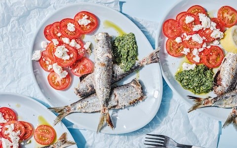 Sardines with scorched green-chilli sauce and tomato and feta salad