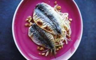 Sardines with zucchini and nut salad