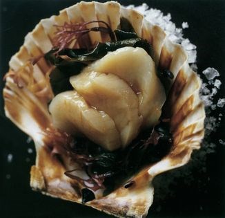 Sashimi of scallops with seaweed salad