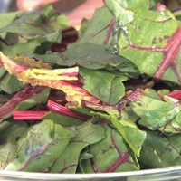 Sautéed beet greens