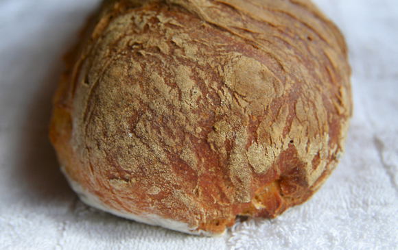 Savory pumpkin rosemary bread