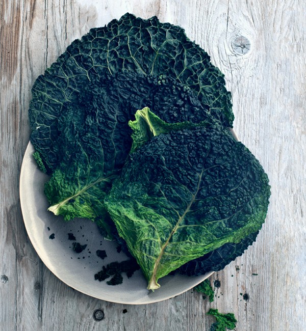 Savoy cabbage chips