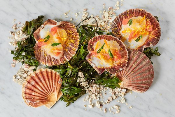  Scallop and pink grapefruit ceviche