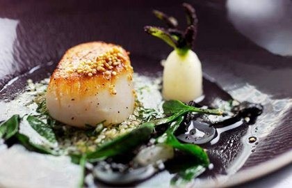 Scallop broth