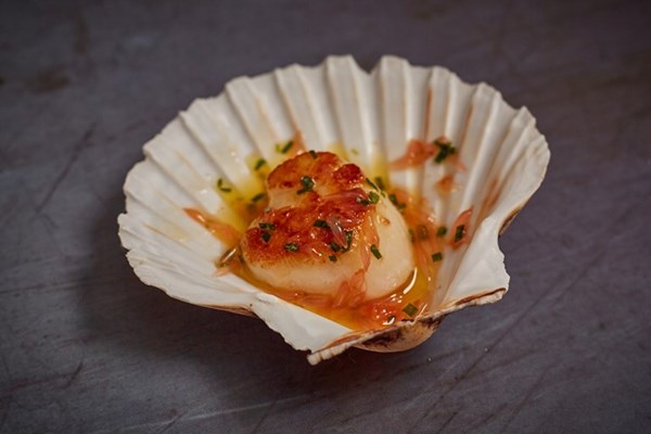 Scallop, brown butter, pink grapefruit and tarragon canapés
