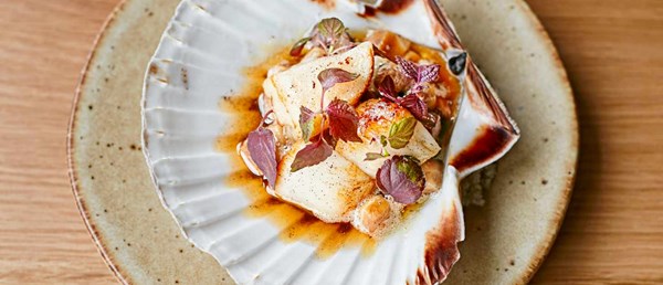 Scallop, celeriac and shiitake