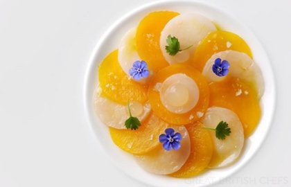 Scallop ceviche with pickled golden beetroot and apple and sorrel gel