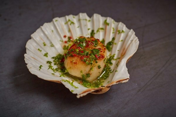 Scallop, coriander and lime canapés