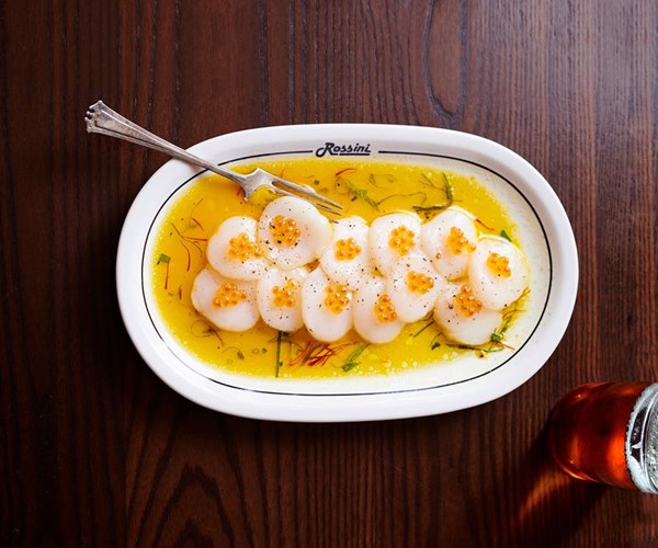 Scallop crudo 