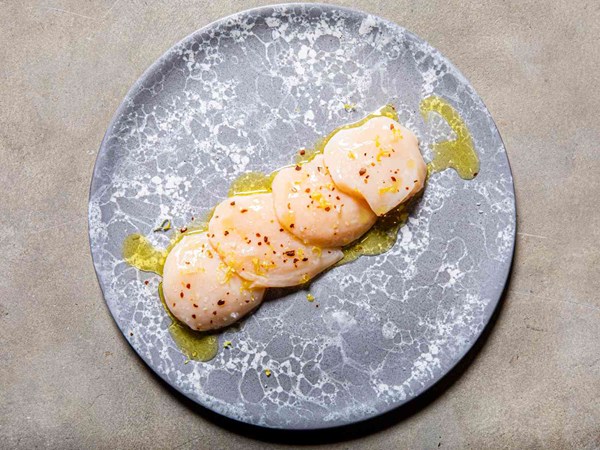 Scallop crudo