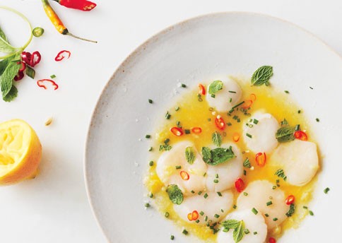 Scallop crudo