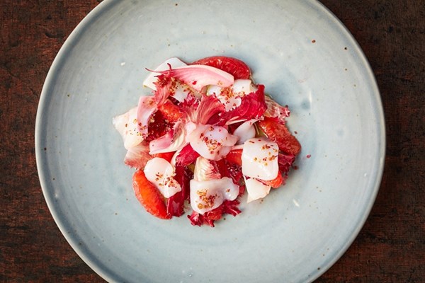 Scallop crudo with blood orange and pink radicchio