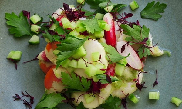Scallop cucumber ceviche