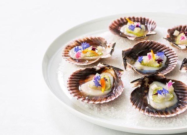 Scallop cured in elderflower with green strawberry