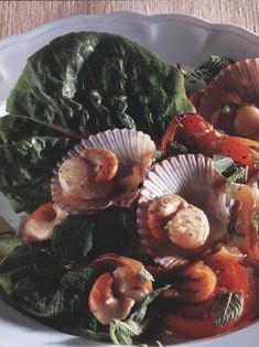 Scallop salad with grilled yellow pepper and mixed fresh herbs