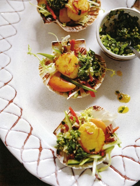 Scallop shell salads with chimichurri