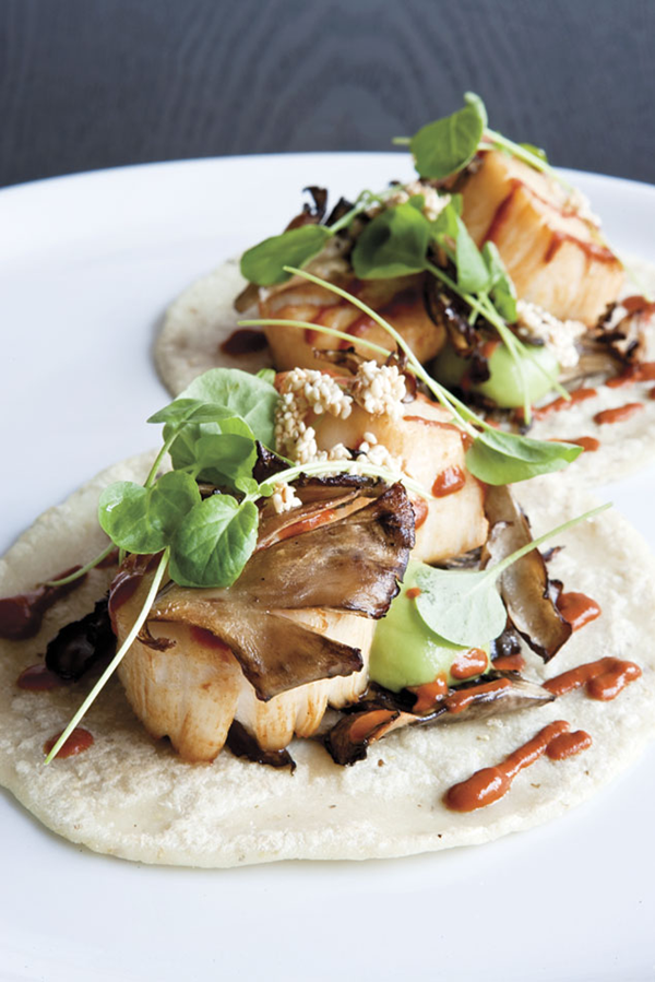 Scallop tacos with roasted maitake & avocado puree