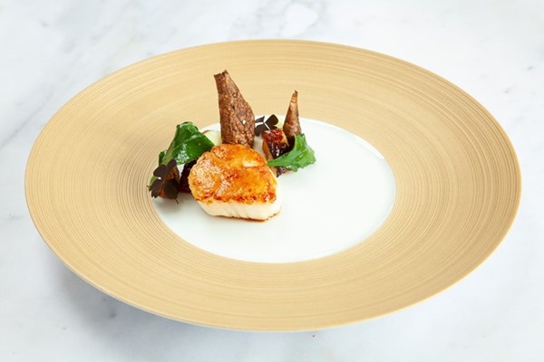 Scallop with Jerusalem artichoke, apple and miso-glazed eel