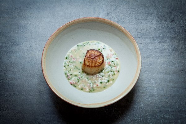  Scallop with smoked onion and razor clam