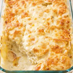 Scalloped potatoes