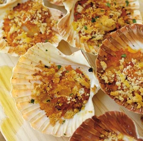 Scallops baked in their shells with white wine and breadcrumbs (Vieiras con vino y migas de pan)