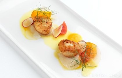 Scallops, ceviche, radish, sharon fruit