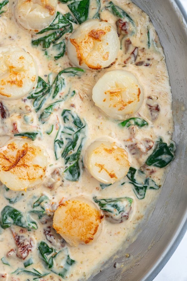 Scallops in cream sauce