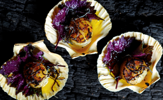 Scallops in half shell (Hotate)