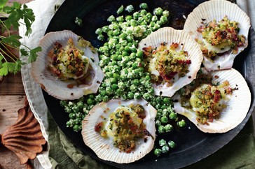Scallops with breadcrumbs, peas and prosciutto