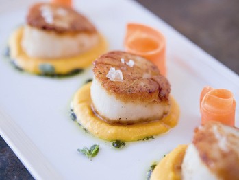 Scallops with carrot cream and marjoram