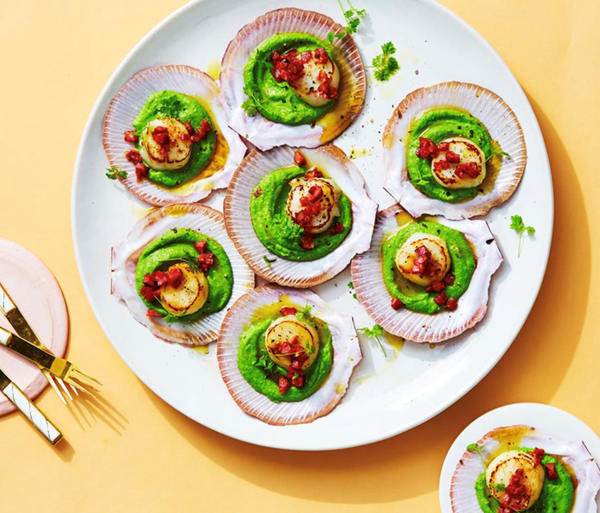 Scallops with Champagne and pea sauce