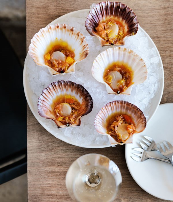 Scallops with citrus dressing