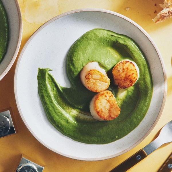 Scallops with creamy spinach sauce